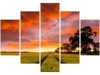 105CM 150CM OBRAZ 5 ELEM FAR FAR AWAY JONATHAN COMBE DRUK