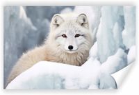 Fototapeta PREMIUM STRUKTURA ZMYWALANA POD WYMIAR lis w śniegu