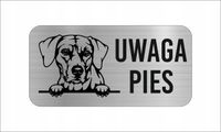 GRAWER Tabliczka nierdzewna laminat 20x10 cm UWAGA PIES RHODESIAN RIDGEBACK