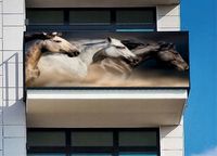 Osłona balkonowa NA WYMIAR na balkon konie tanio