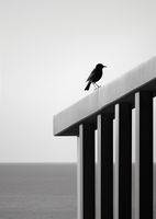 product-compare-59366600