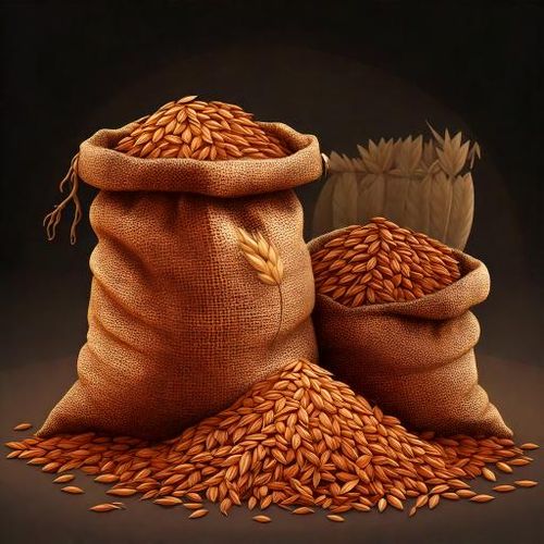 Słód Château Cafe 500 EBC Castle Malting® 1 kg na Arena.pl