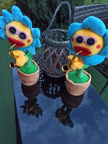 ŚPIEWAJĄCY TAŃCZĄCY KWIATEK z saksofonem SŁONECZNIK JAK KAKTUS na Arena.pl