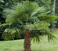 product-compare-49526860