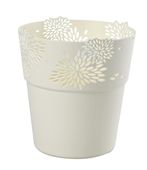 OSŁONKA ASTER 13 CM KREM