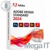 Design Standard 2024 - Licencja Wieczysta (LifeTime) - Windows - Licencja Biznes - BOX (USB)