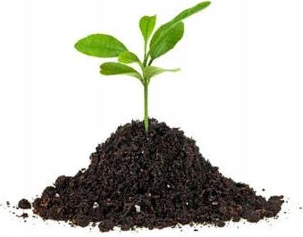 WOKAS KOMPOST OGRODNICZY 50L Użyźnia Ziemię WOKAS na Arena.pl