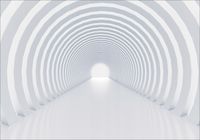 FOTOTAPETA tunel abstrakcja 3D most 300x210 FLIZ