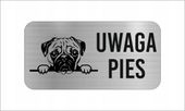 GRAWER Tabliczka nierdzewna LAMINAT 20x10 cm UWAGA PIES MOPS dużo wzorów