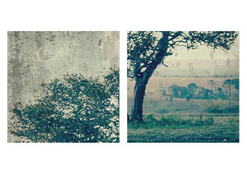 Obraz Na Płótnie - Drzewo Samotność  - 90X30 Cm - Ca90X30-3627 na Arena.pl