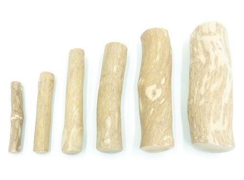 4Dogs Gryzak Z Drzewa Kawowego S na Arena.pl