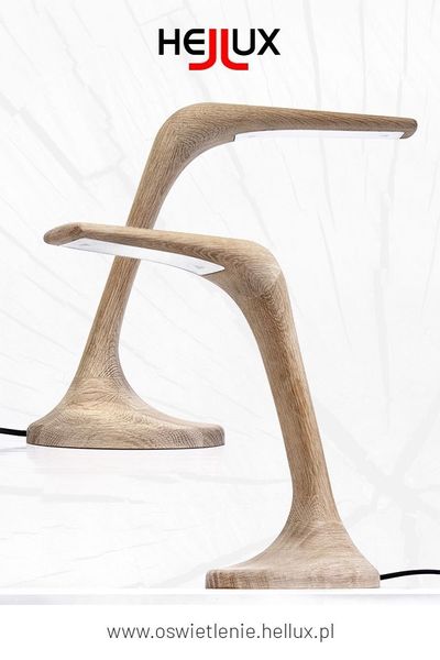 CONCORDIA zdjęcie 6