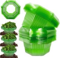 Kołnierze Przeciw Ślimakom 10 Sztuk Ochrona Roślin Zielone Tworzywo
