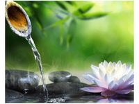 40X50CM BAMBUS KAMIENIE OBRAZ