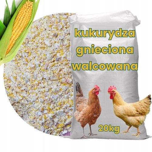 KUKURYDZA GNIECIONA walcowana pasza dla kur niosek, kaczek 20 na Arena.pl