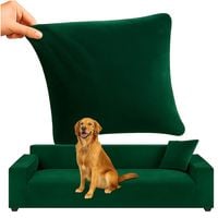 product-compare-61559580