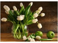 70X50CM OBRAZ BUKIET JASNYCH TULIPANÓW KWIATY ŚCIAN
