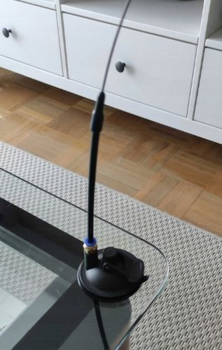 ZABAWKA DLA KOTA RUCHOMA WĘDKA Z PRZYSSAWKĄ I PTASZKIEM 95CM na Arena.pl