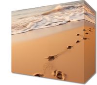 product-compare-59467722