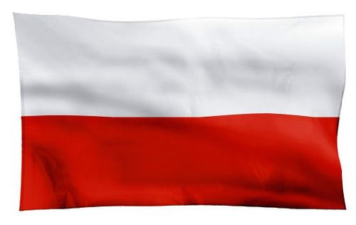 Flaga Polska 68*110 na Arena.pl