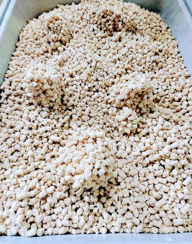 Żwirek kukurydziany GRUBOZIARNISTY EKOTEK 20L dla kotów 12 kg na Arena.pl