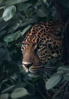 Plakat 68x98cm Schowany w Cieniu