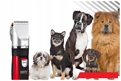 MASZYNKA DO STRZYŻENIA PSÓW ZWIERZĄT CAMRY +ZESTAW na Arena.pl