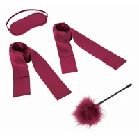 sportsheets s&m enchanted starter kit zestaw akcesoriow burgundowy