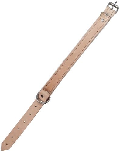 kolczatka skóra duża - obr kol ds na Arena.pl