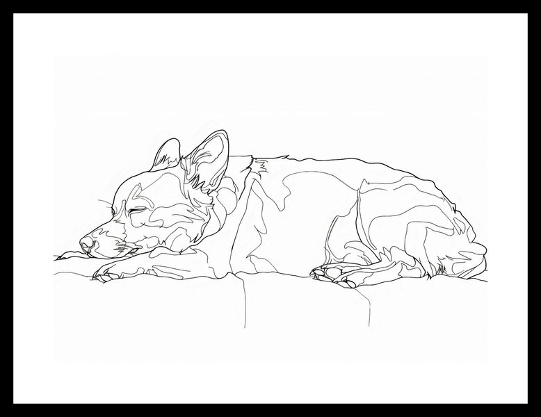 Plakat 35x25cm Śpiący Psiak zdjęcie 3