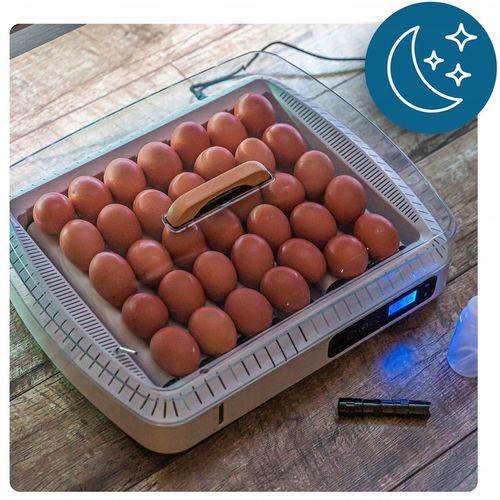 Inkubator Automatyczny do wylęgu 35 jaj Wylęgarka Klujnik do wylęgu Drobiu na Arena.pl