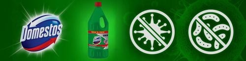 domestos płyn do wc pine fresh zielony 2l na Arena.pl