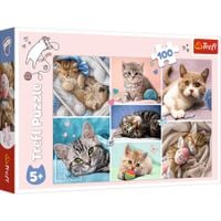 puzzle 100 w kocim świecie 16420