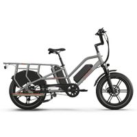 Rower Elektryczny cargo Jobobike Transer Szary
