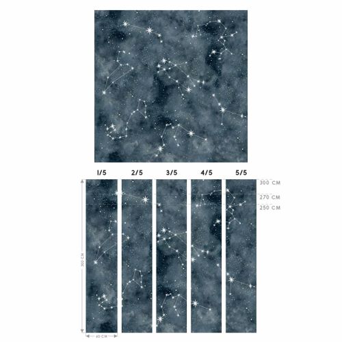 Tapeta Konstelacje W88 250 cm Płótno na Arena.pl