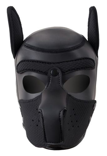 bad kitty dog mask na Arena.pl