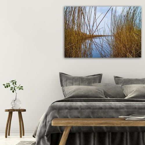 Deco Panel, Trzciny na jeziorze 120x80 na Arena.pl
