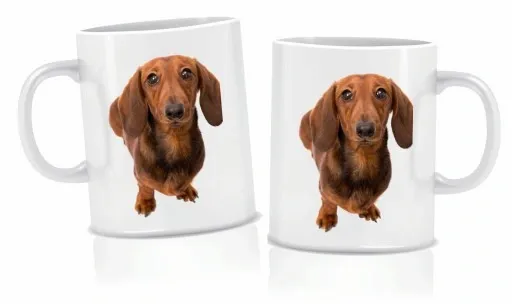 Zestaw PODUSZKA + KUBEK JAMNIK zdjęcie 3