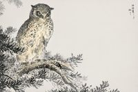 Plakat 30x20cm Japanese Scops Owl, Kashu Vintage do Salonu