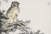 Plakat 30x20cm Japanese Scops Owl, Kashu Vintage do Salonu