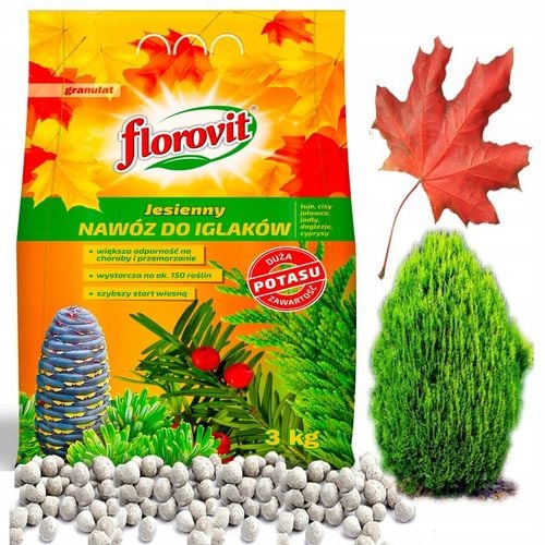 FLOROVIT JESIENNY NAWÓZ DO TUI THUI IGLAKÓW CISÓW JODEŁ DUŻO POTASU 3 na Arena.pl