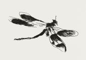 Plakat 100x70cm Dragonfly, Édouard Manet Vintage do Salonu