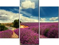 product-compare-58682235