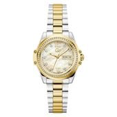 Zegarek Damski GC Watches Z53002L6 (Ø 34 mm)