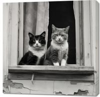 Obraz 90x90cm Para w Oknie