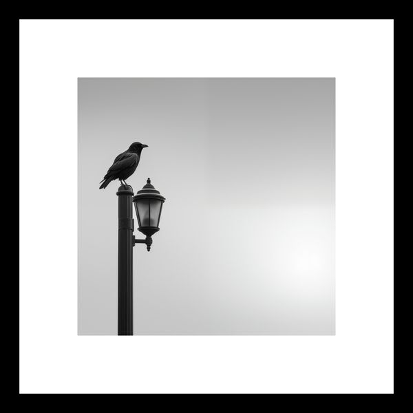 Plakat 20x20cm Samotny Postój Kruka zdjęcie 3