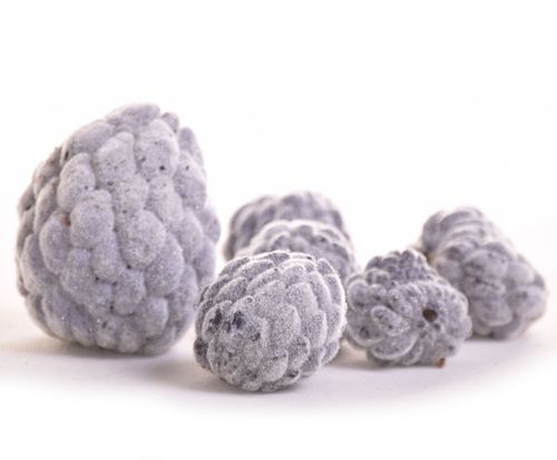 Ata fruit flock 6szt na Arena.pl