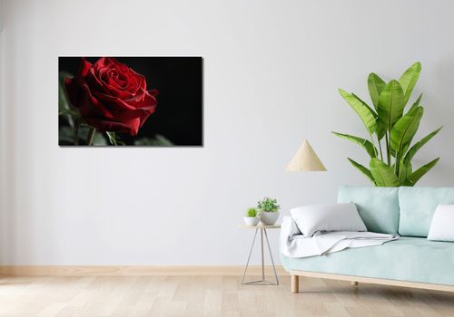 Obraz 100x60cm Róża w Półcieniu na Arena.pl