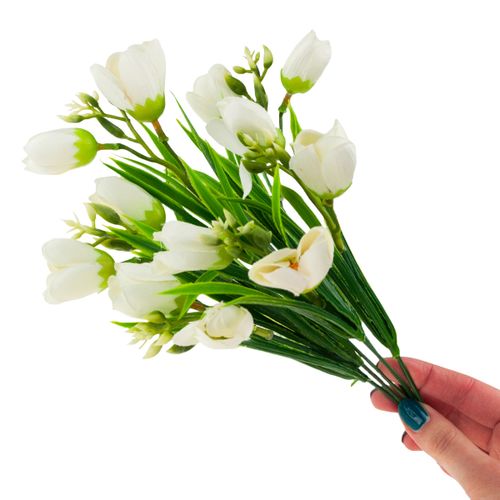 KROKUS BUKIET KROKUSÓW KROKUSY W TRAWIE BIAŁE na Arena.pl