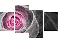 product-compare-58705622